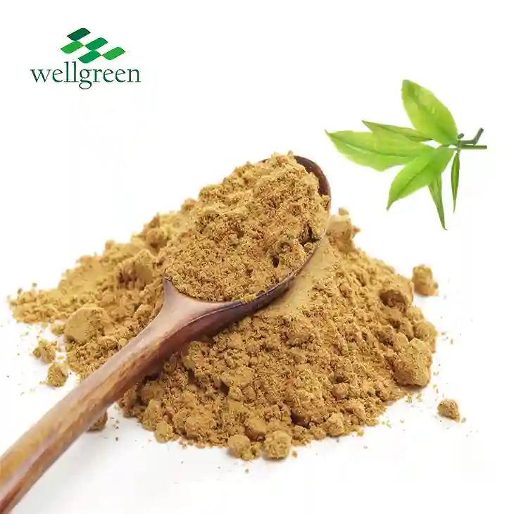 Camellia Sinensis Leaf Extract